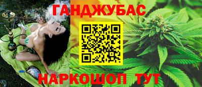 индика Мариинск