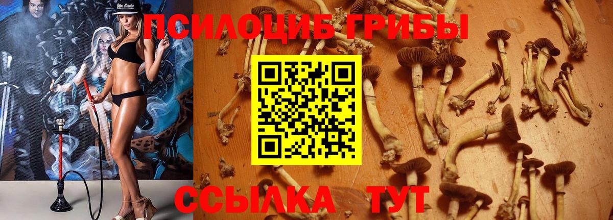 Усть-Илимск  Галлюциногенные грибы Psilocybe  Псилоцибиновые грибы Cubensis  Вход с VPN 